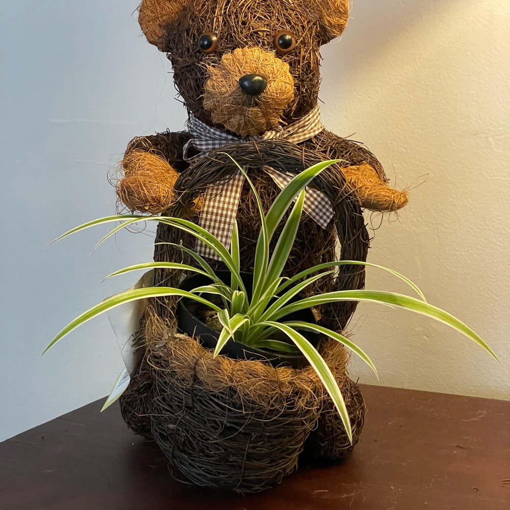 Gardener Select 15in Bear Topiary - Brushwood Finish